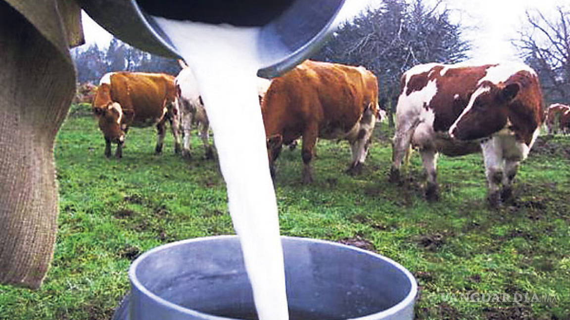 Exigen productores de leche, que se les involucre en la revisión del TLCAN