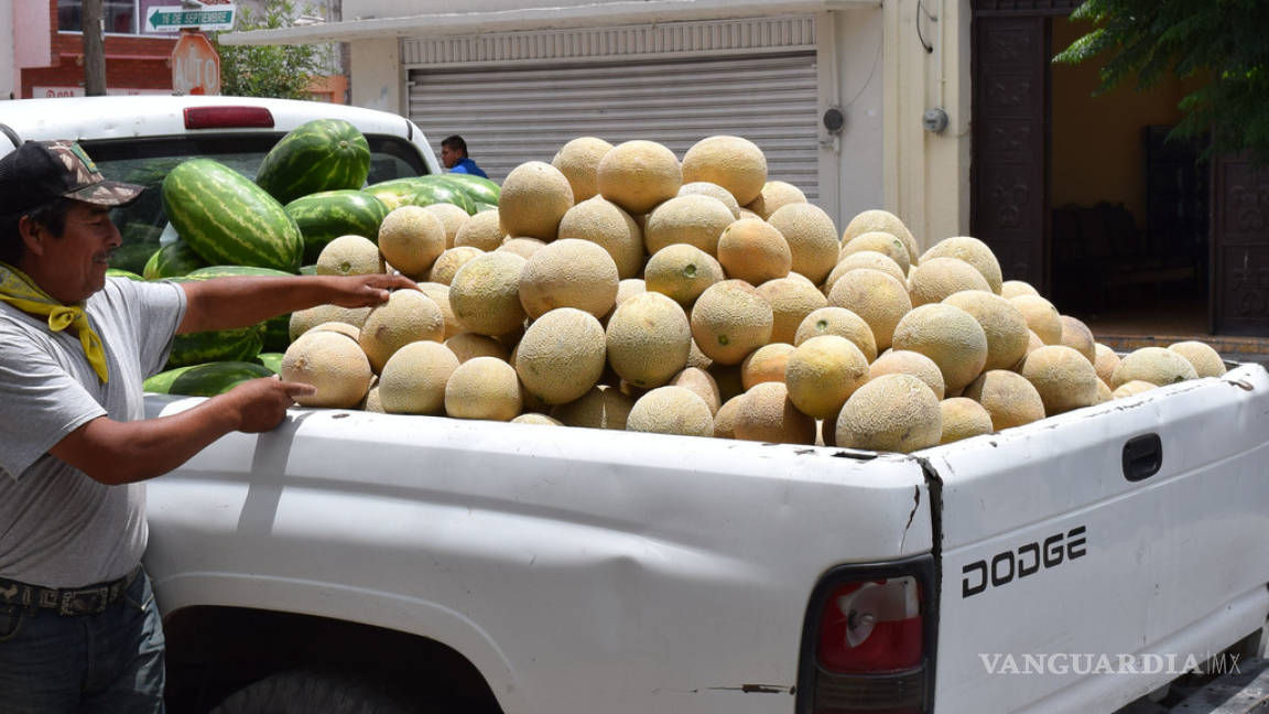 “Proyecto Melón” contará en Matamoros con local para procesar la fruta