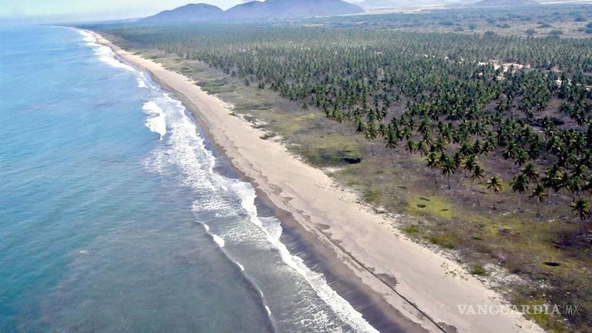 AMLO revela 'tranza' en compra de playa durante gobierno de Felipe Calderón