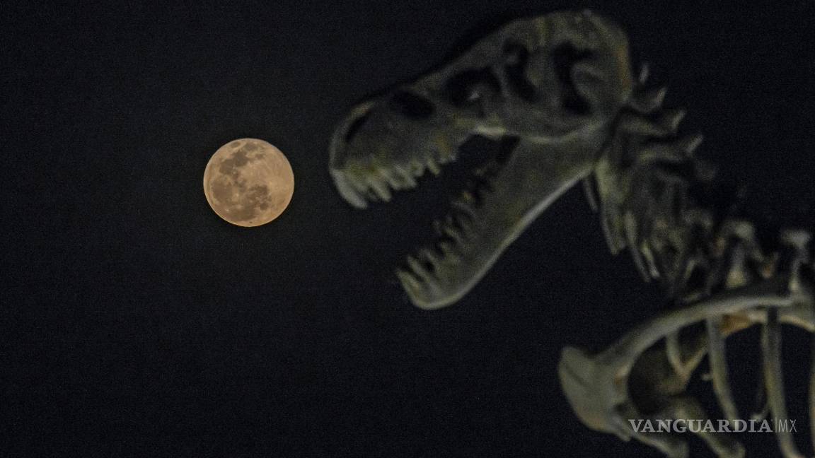 $!Imágenes de la luna llena, tomadas desde el cruce de LEA y Pérez Treviño, junto a la estatua de T-REX en ese lugar.