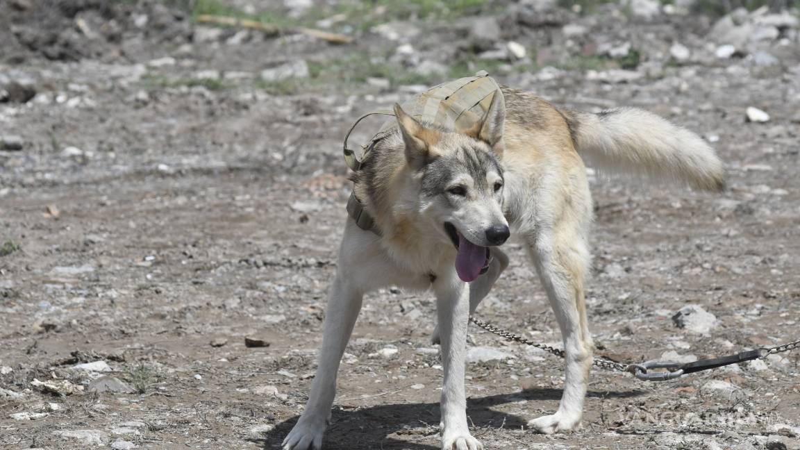 $!Se suma Protección Civil de NL a búsqueda de Lluvia Estefanía en Coahuila