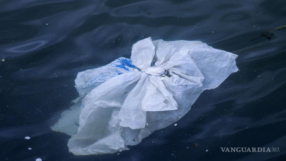 $!Los investigadores alertan sobre la necesidad de reducir el uso de este material contaminante para proteger a la vida salvaje y los ecosistemas marinos.