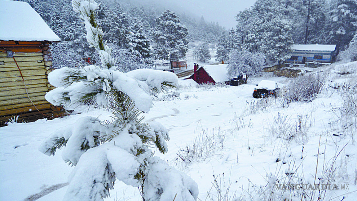 Segunda nevada del año en la Sierra de Arteaga