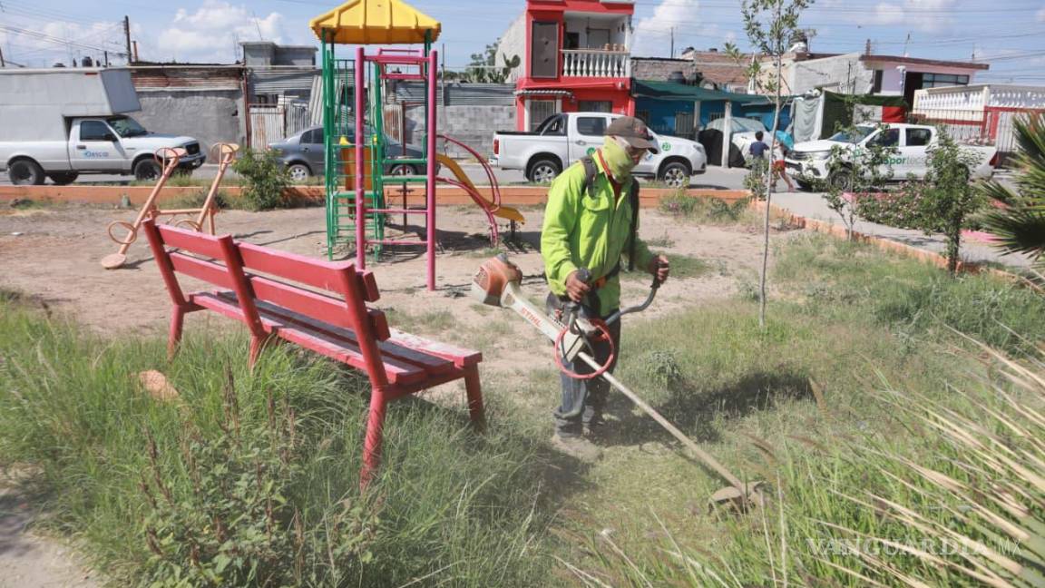 $!Personal de la Dirección de Medio Ambiente y Desarrollo Sustentable realiza limpieza y deshierbe en plazas y áreas verdes de la colonia Virreyes Obrera.
