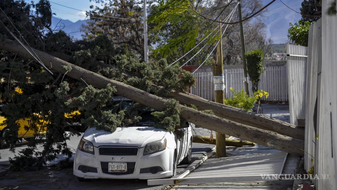 Alerta en Coahuila por la llegada del frente frío 34: rachas de viento de hasta 100 km/h