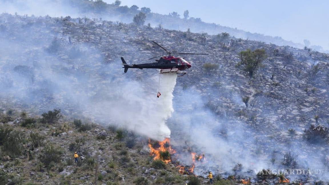 Bajan 25% incendios forestales en México durante el primer semestre del 2020