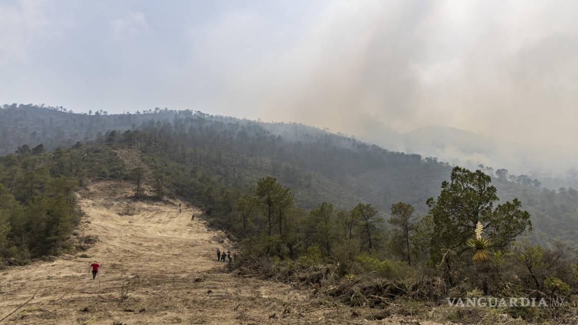 Pierde Región Sureste de Coahuila mil 228 hectáreas de bosque por incendios