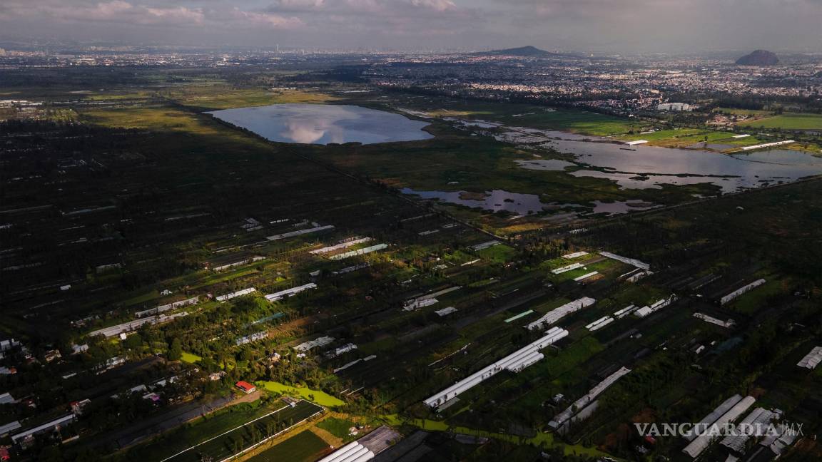$!Islas flotantes conocidas como chinampas son visibles en San Gregorio Atlapulco y Xochimilco, en la Ciudad de México.
