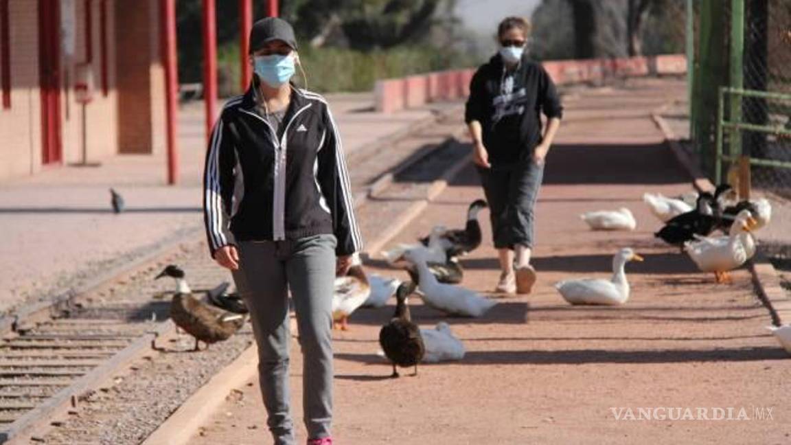 $!¿Un pelícano? ¡Varios! La Ciudad Deportiva de Saltillo es un sitio que suelen visitar