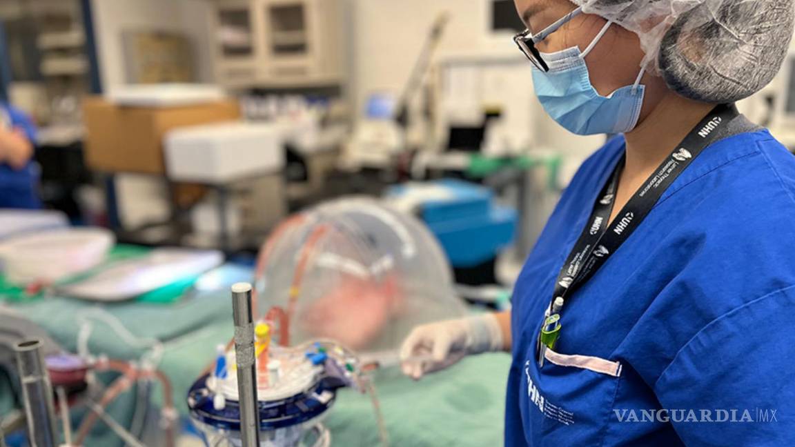 $!El doctor Aizhou Wang, uno de los autores del estudio, demuestra en el laboratorio cómo las enzimas ingresan al sistema de perfusión pulmonar. UHN