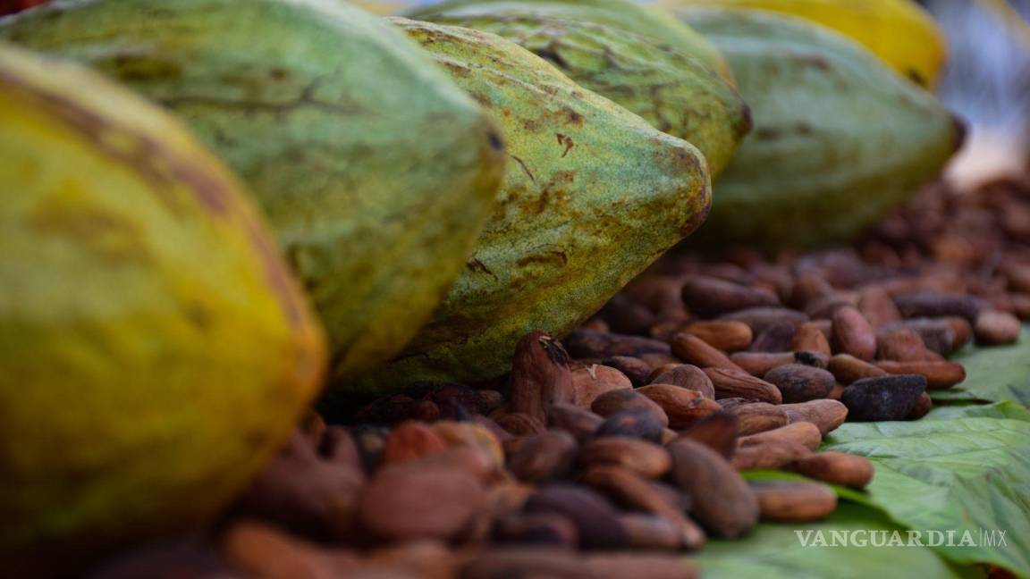 Precio de chocolate se dispara; es la mayor alza que ha tenido desde el año 2019