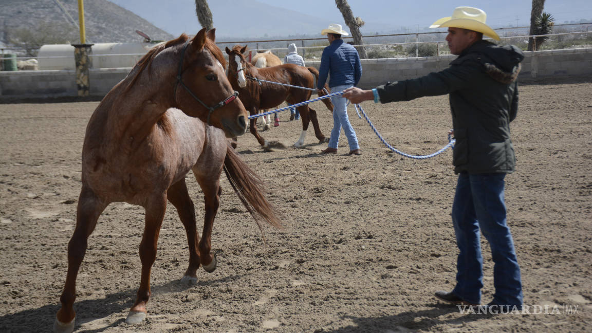 En Brio Natural imparten clínicas de buen trato a los caballos