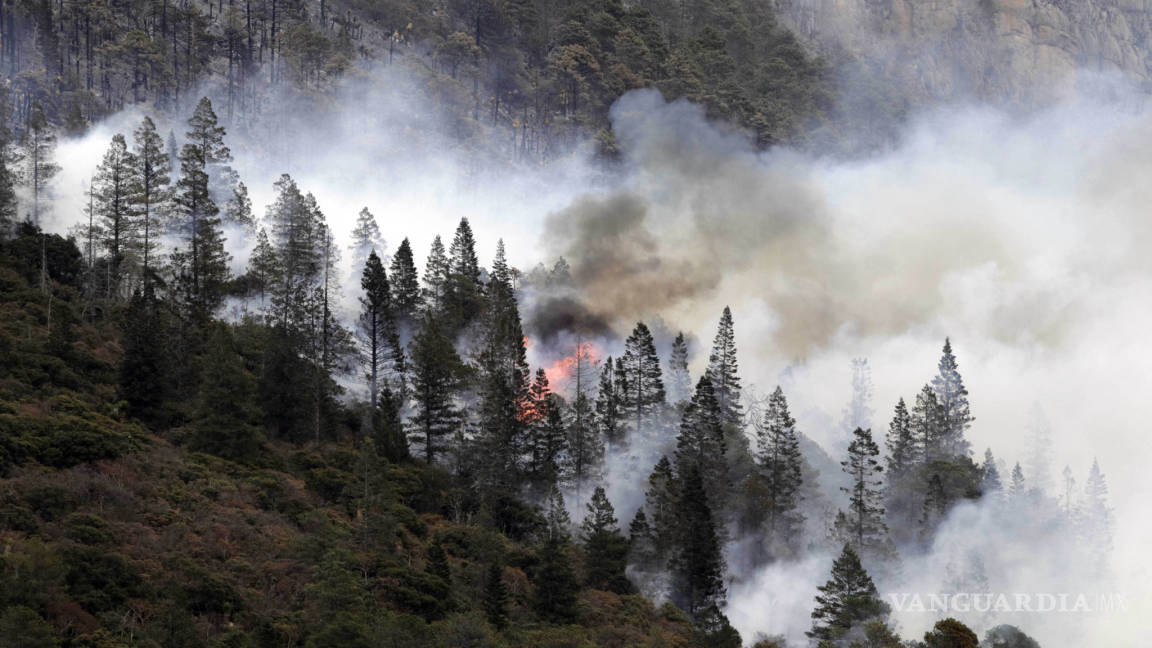 Responsables de incendio en la Sierra de Arteaga no son de la localidad: FGE