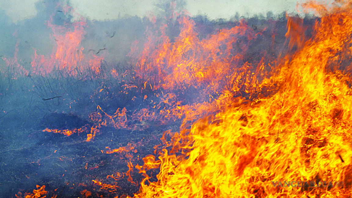 Casi 14 mil hectáreas ardieron en 8 meses