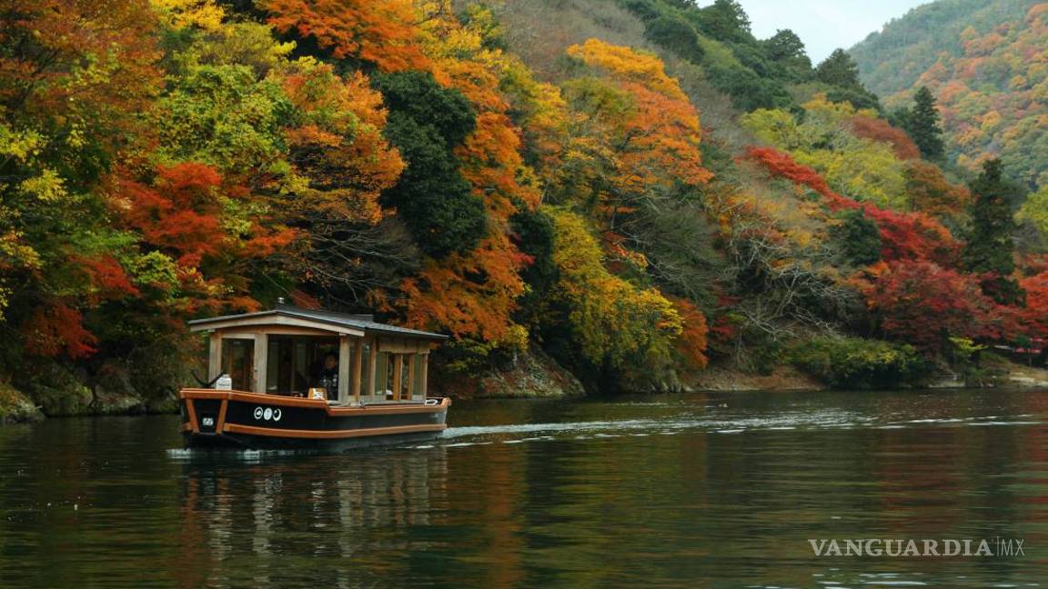 $!Alojamientos ecológicos, remansos de paz... y lujo