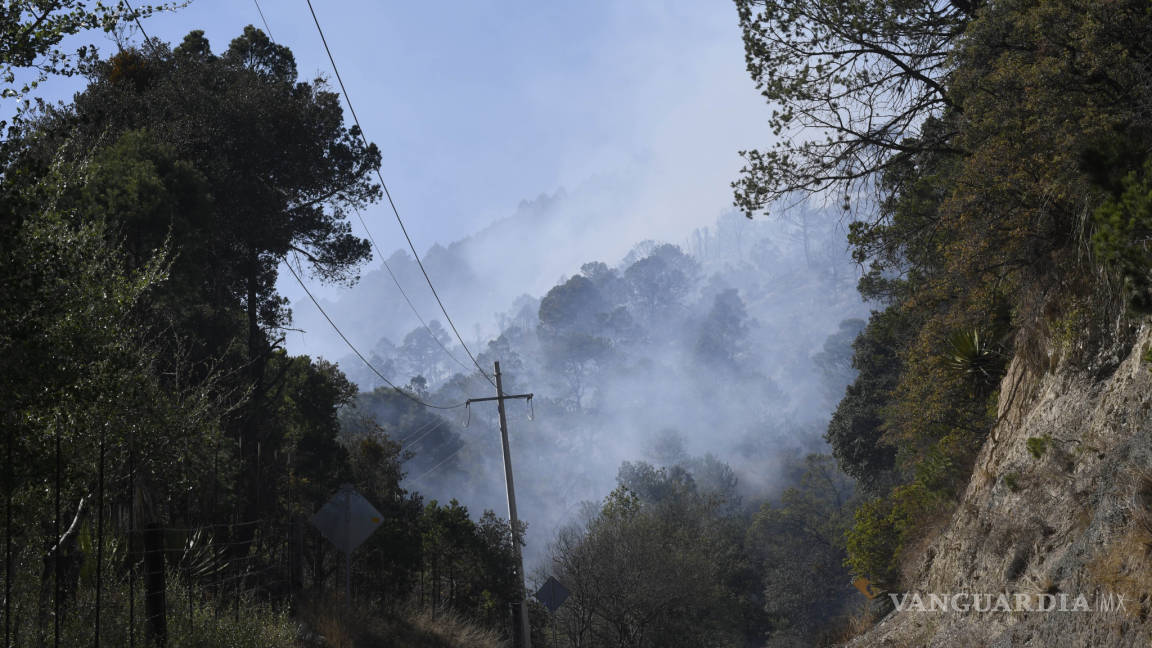 Deja incendio de Arteaga afectaciones equivalentes a 625 Alamedas de Saltillo
