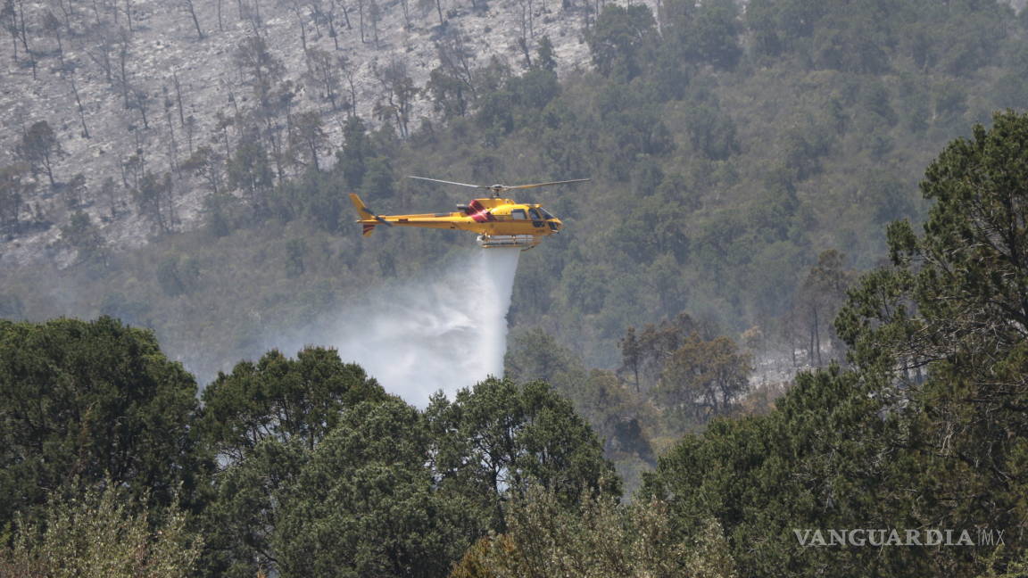 Sólo el 10 por ciento, el avance en control del incendio en la Sierra de Arteaga