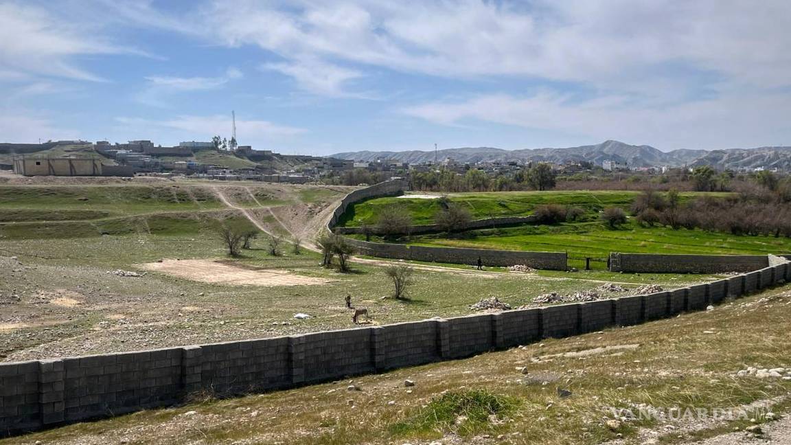 $!Animales pastan delante de su granja en la provincia iraní de Khuzestan, donde se refugia la familia de la abogada.