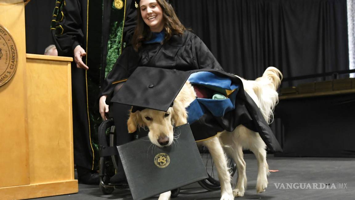 Perro de servicio recibe diploma de maestría en Nueva York