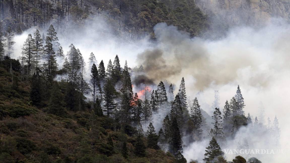 Incendios forestales; cada vez son más y sin recursos, aunque organizaciones ponen su ‘granito de arena’, hace falta más