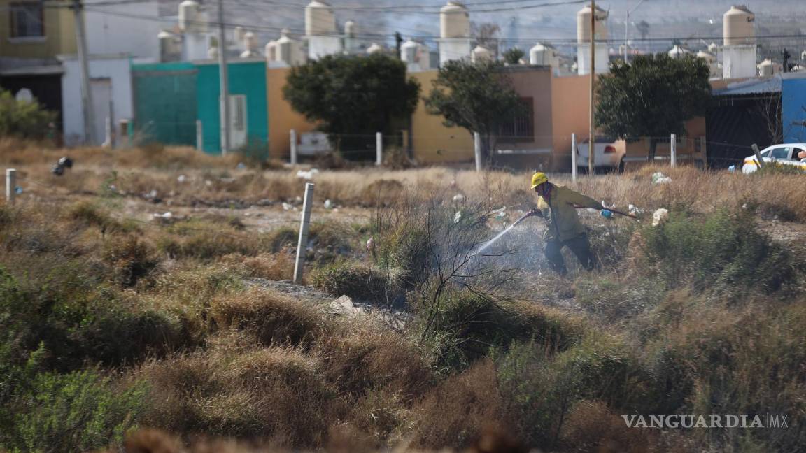 $!Las llamas consumieron matorrales y pastizales en un arroyo de la zona; el fuerte viento fue uno de los principales obstáculos para controlar el fuego.