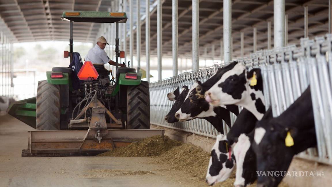 Productores de leche confían en alcanzar la autosuficiencia en el gobierno de AMLO