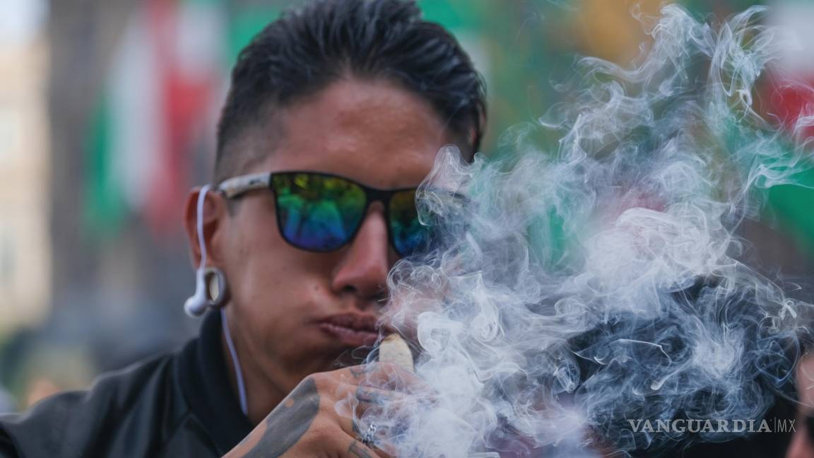Este mes tiene Congreso para legislar uso de la mariguana