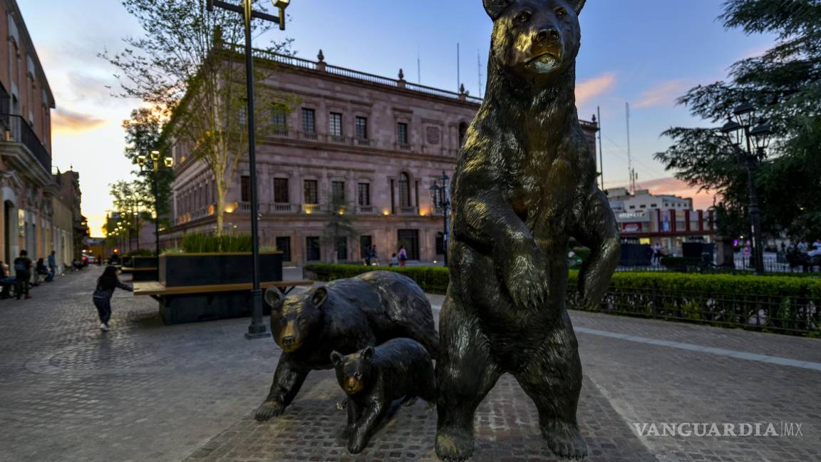 La familia de osos negros llegó a vivir con los saltillenses en el Paseo Capital