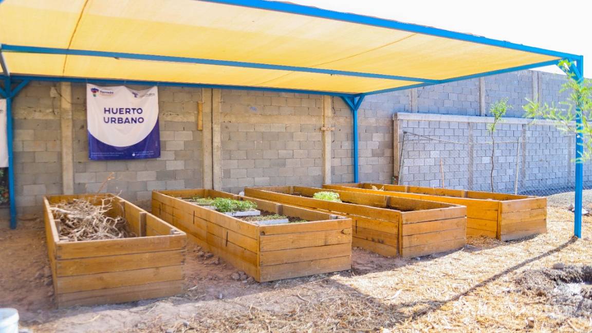Medio Ambiente inaugura de manera virtual el “Primer taller de composta y educación ambiental” en Torreón