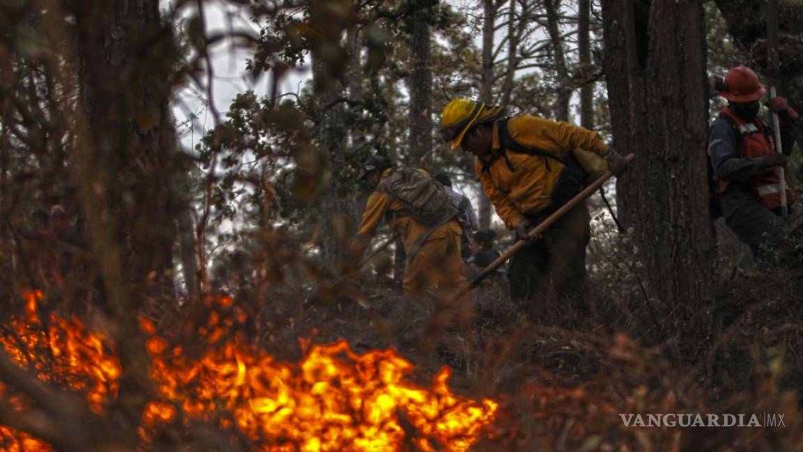 Activos, 11 incendios forestales en Guerrero
