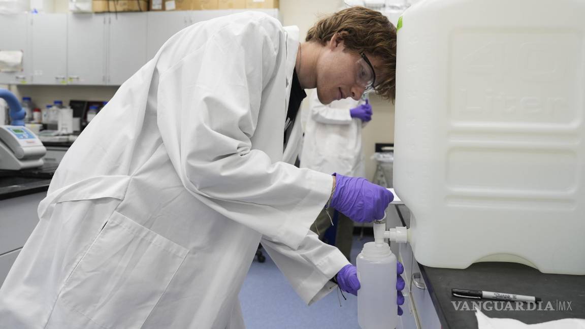 $!Logan Feeney vierte una muestra de agua con PFAS en un recipiente para investigación, en un laboratorio de la Agencia de Protección Ambiental.