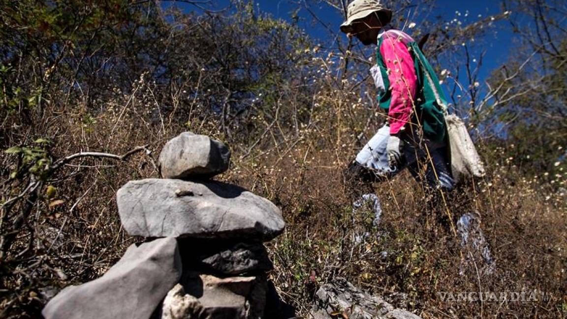 Falta de datos y coordinación hacen ineficaz registro desaparecidos en México