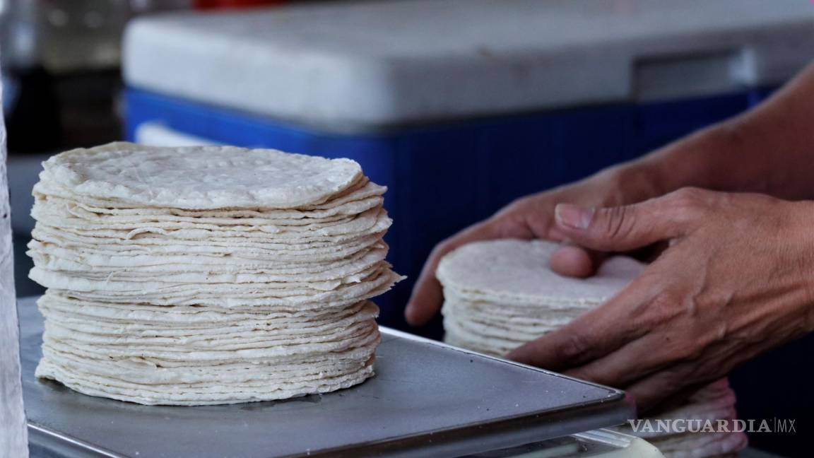 ¡Ojo! Precio de la tortilla oscila los 13 y 21.50 pesos el kilo, según Profeco
