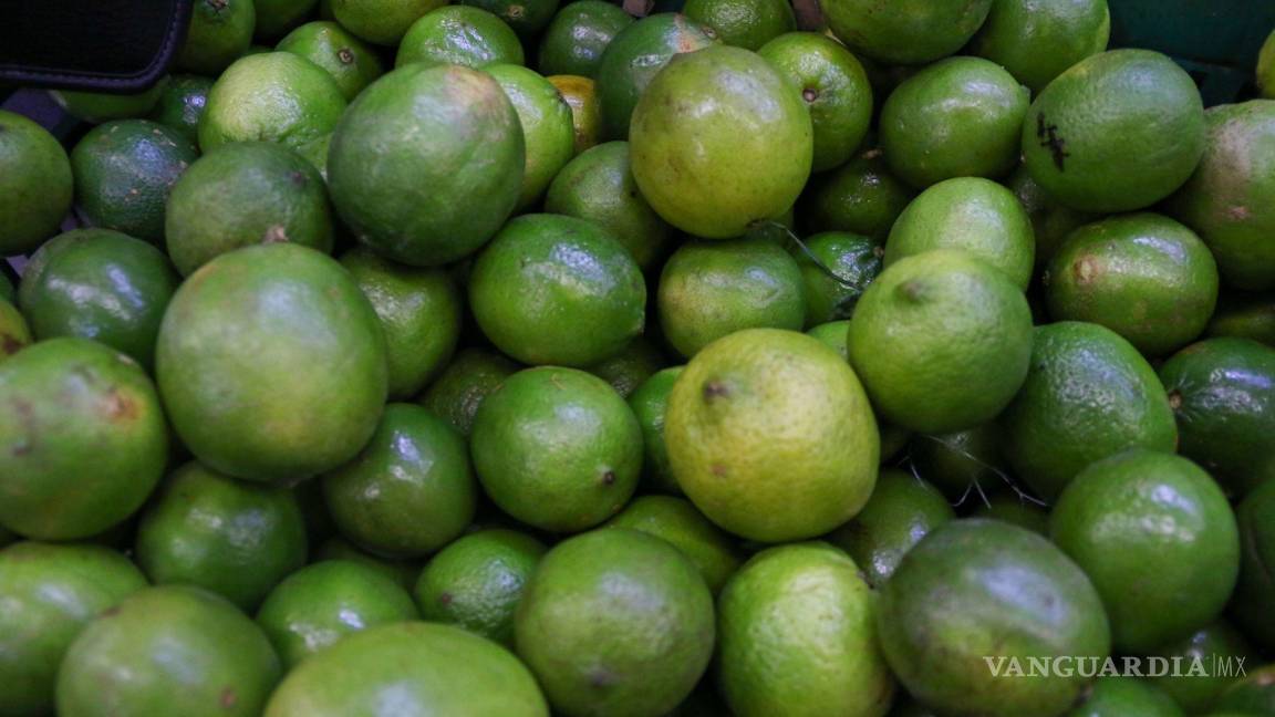 ¡Agrio 2022! Limón roza los $100 pesos por kilo en Saltillo