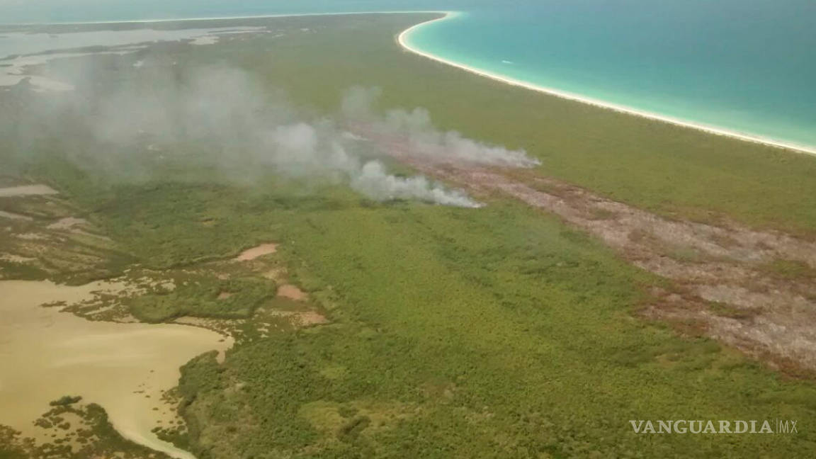 Incendio en isla Holbox fue provocado, confirma Profepa