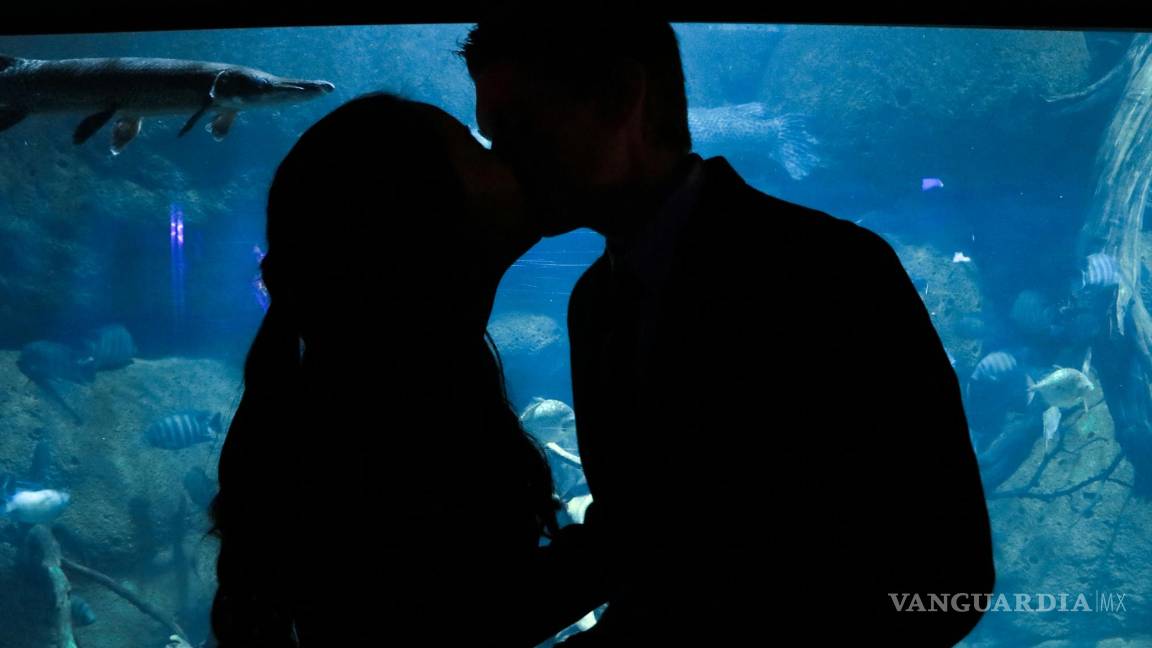 $!Liberan oxitocina, una hormona que promueve la unión emocional y refuerza los lazos afectivos entre las parejas.