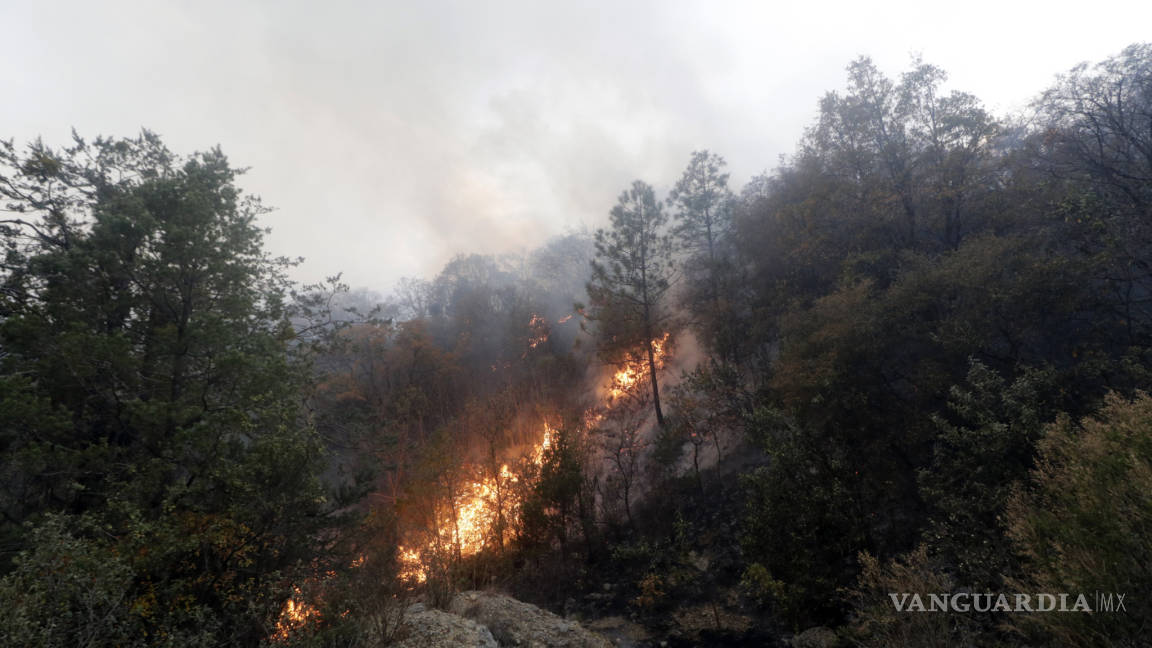 Sólo 5 por ciento de incendio en la Sierra de Arteaga ha sido controlado