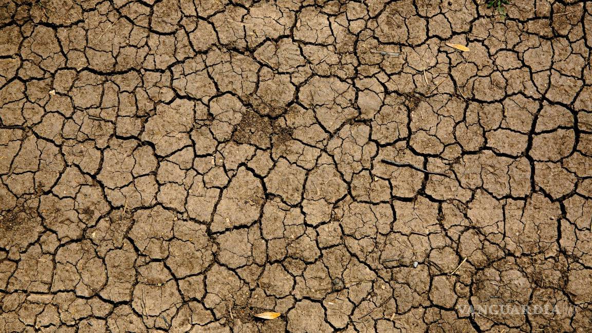 $!Las temperaturas extremas tienen un impacto negativo en diversos sectores de la sociedad y el medio ambiente.