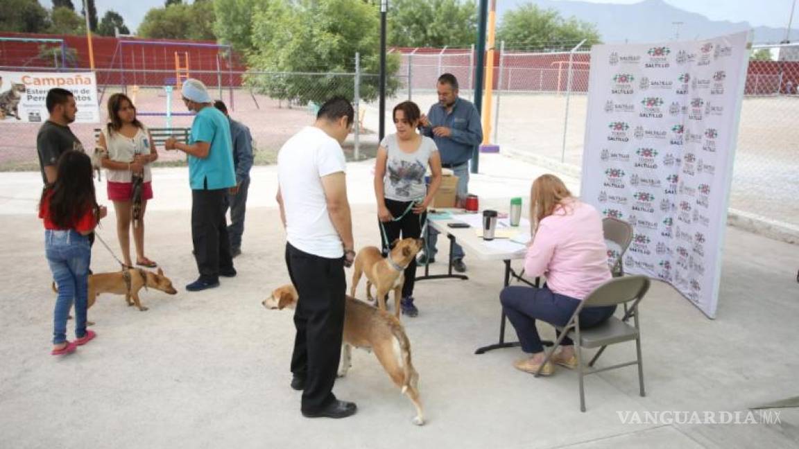 Municipio realiza jornada de esterilización de mascotas en colonias de Saltillo