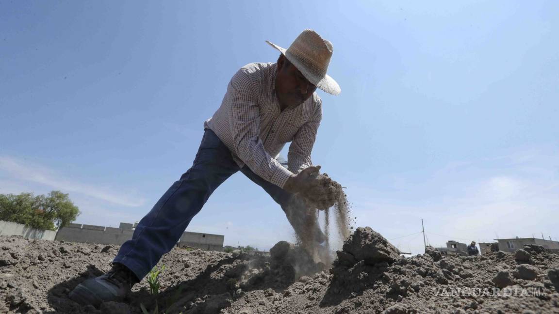 Abandonan campesinos sus cultivos por sequía en el Estado de México