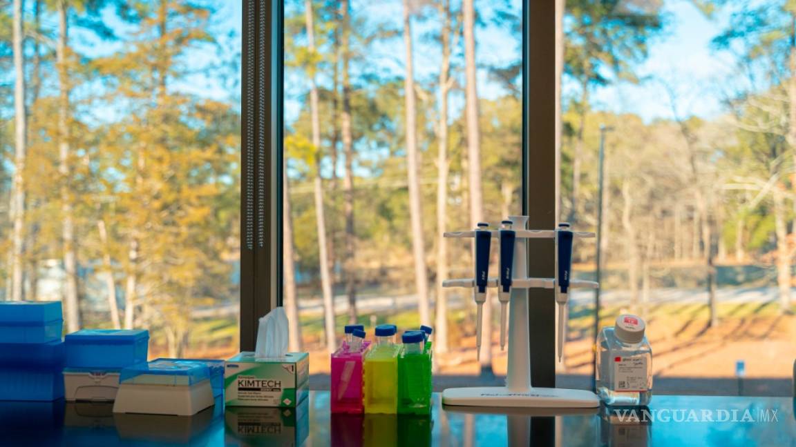 $!Cultivando células mamarias logran desarrollar la primera leche materna hecha en un laboratorio