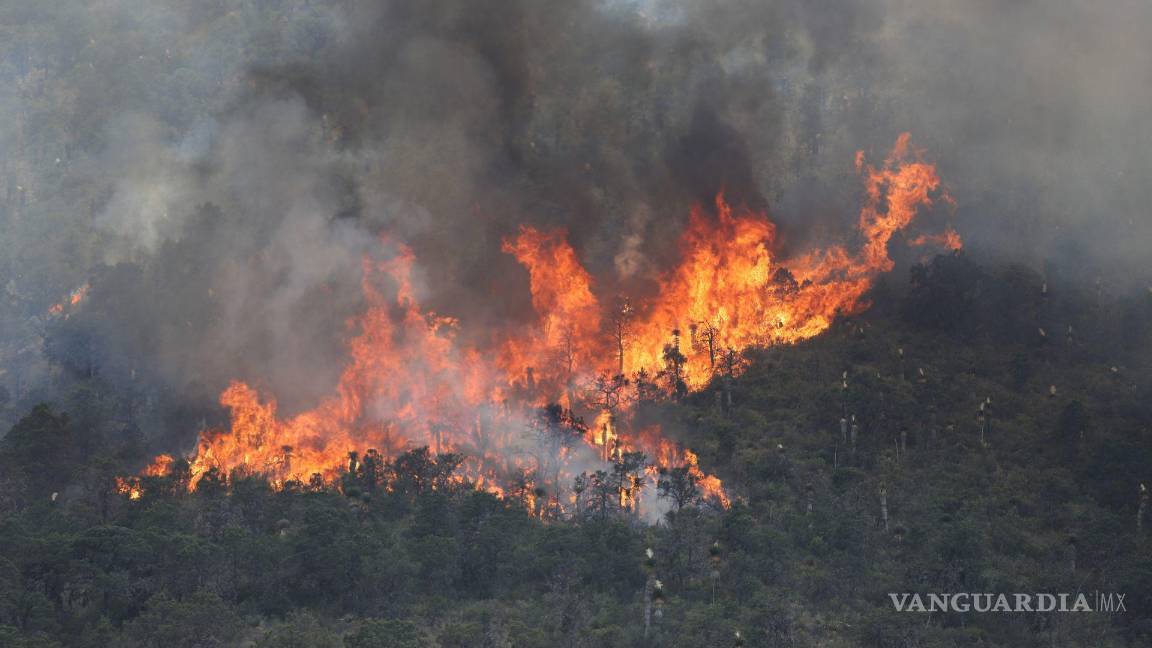 $!Saltillo, Coahuila 20 de mayo de 2022. El incendio registrado en La Carbonera sigue sin controlarse.