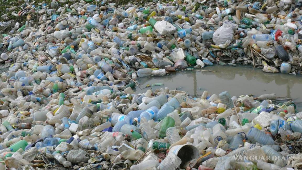 $!Basura en el barrio Këneta (pantano) en las afueras de la ciudad marítima de Durrës, uno de los destinos principales turísticos de Albania.