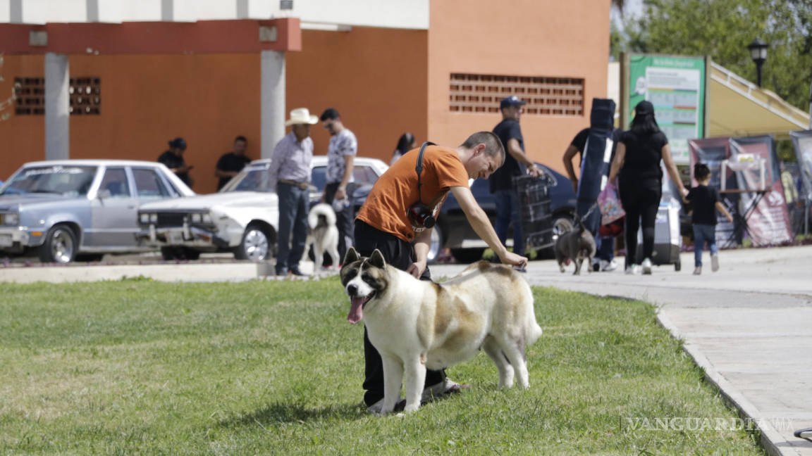 ¡Guau!, domingo perruno en Saltillo