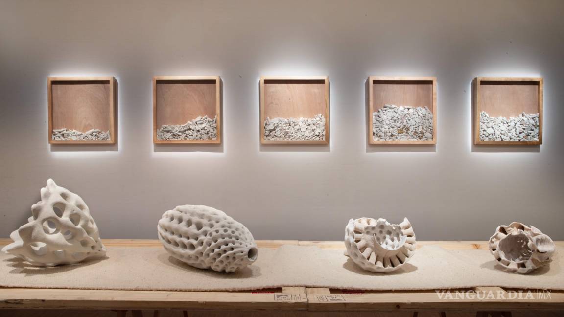 $!‘Extinción continua’: Avelina y Alejandro Fuentes Quezada exponen en Francia