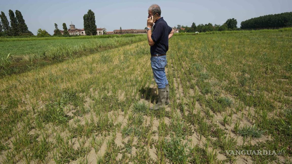 Declaran emergencia en Italia por fuerte sequía