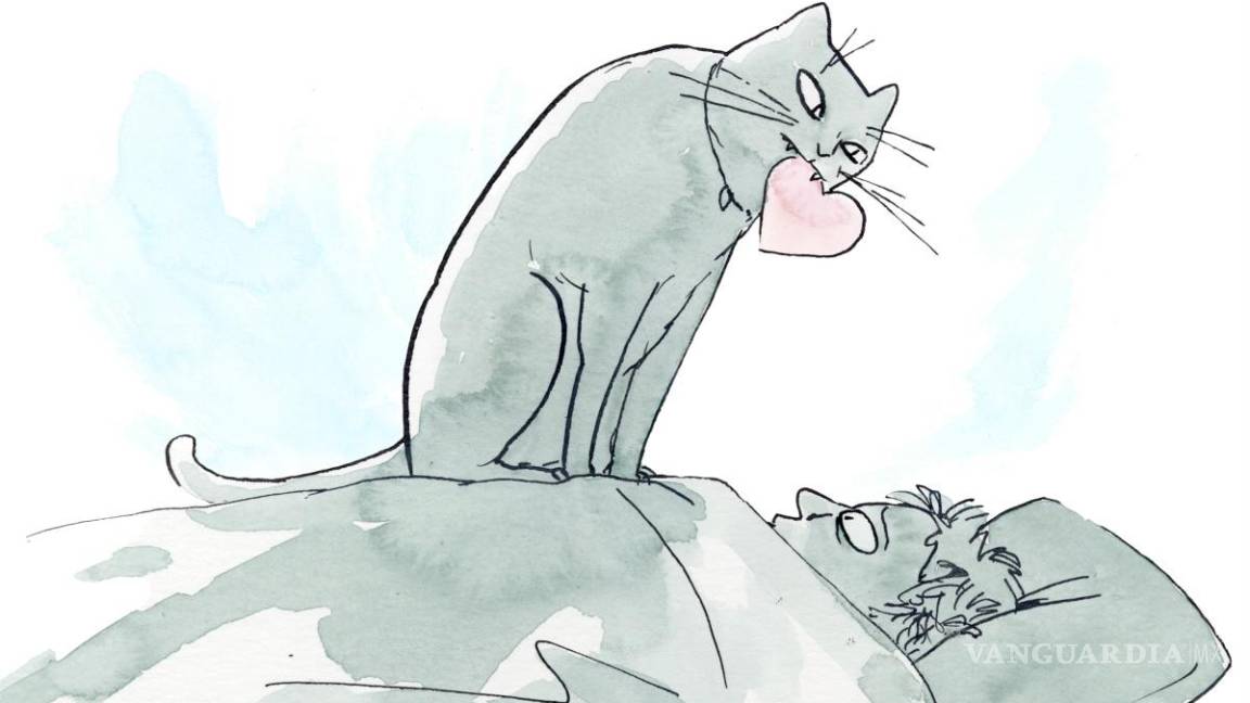 Una científica especialista en felinos explica por qué en realidad podrías caerle bien a tu gato