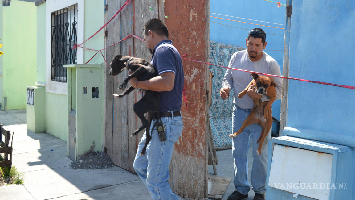 Rescatan a tres perros de casa del hombre que le quitó la vida a su hijo en Saltillo; tenían varios días sin comer ni beber agua