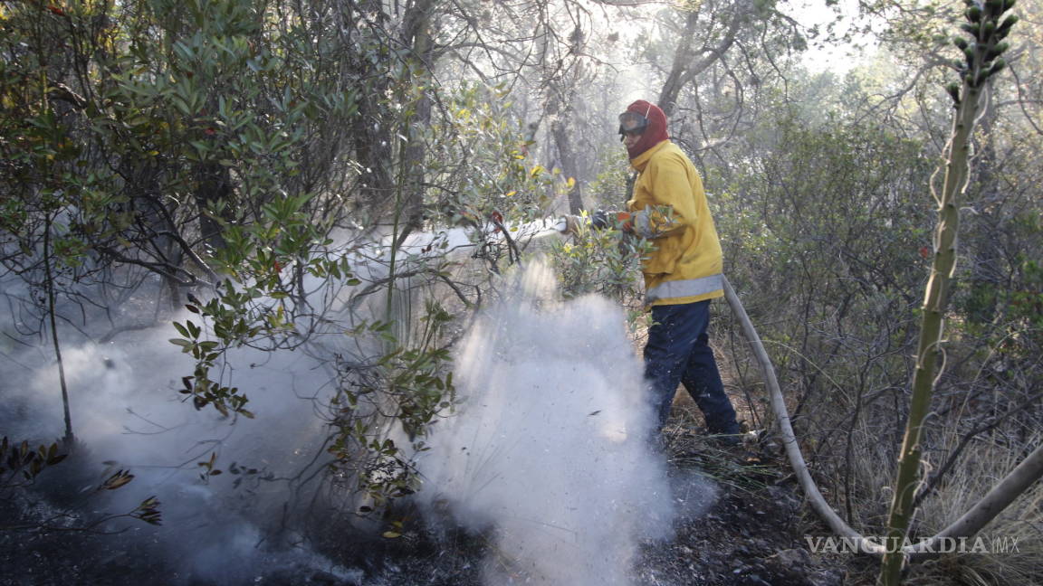 Han gastado más de 5 millones en apagar incendios de Coahuila