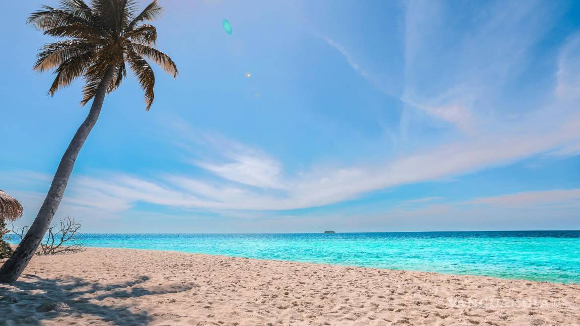 $!Una de las primeras decisiones que tendrás que tomar es si organizarlo por tu cuenta o a través de una agencia de viajes.